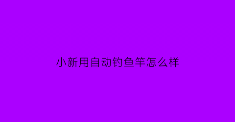 小新用自动钓鱼竿怎么样