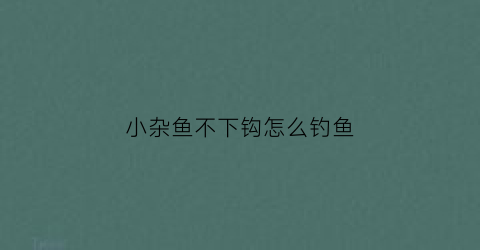 “小杂鱼不下钩怎么钓鱼(小杂鱼为什么钓不上来)