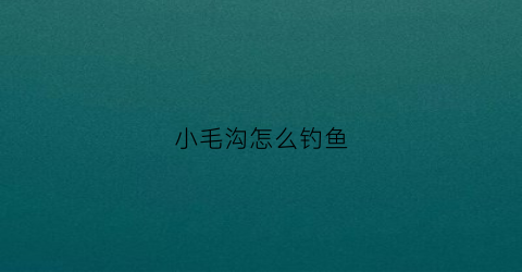 小毛沟怎么钓鱼(小毛钓鱼怎么玩)