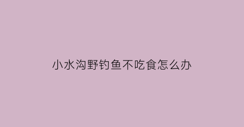 小水沟野钓鱼不吃食怎么办(小水沟的鱼)