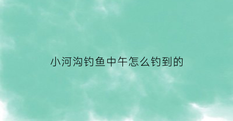 “小河沟钓鱼中午怎么钓到的(小河沟钓位选择)