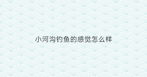 小河沟钓鱼的感觉怎么样(小河沟怎么钓大鱼)