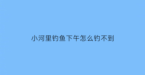 “小河里钓鱼下午怎么钓不到(为啥下午钓不到鱼)