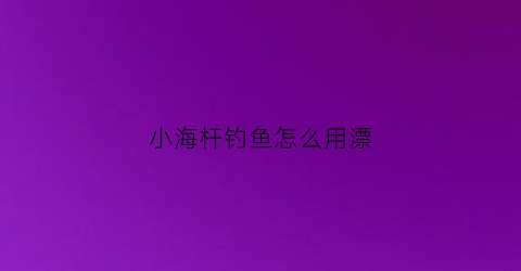 小海杆钓鱼怎么用漂