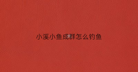 小溪小鱼成群怎么钓鱼(小溪里面的鱼怎么钓)