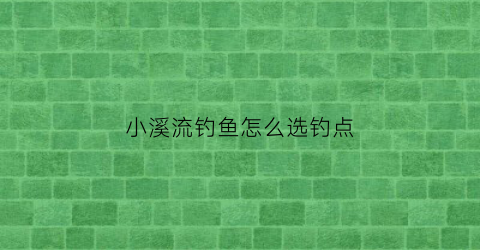 “小溪流钓鱼怎么选钓点(小溪流钓鱼怎么选钓点和位置)