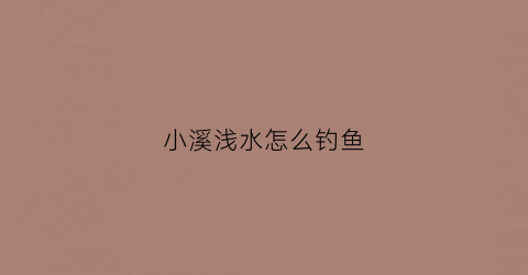 小溪浅水怎么钓鱼(小溪浅水怎么钓鱼的)