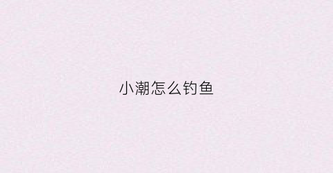 小潮怎么钓鱼(小潮适合矶钓吗)