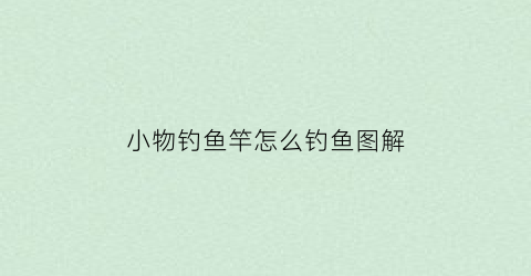 小物钓鱼竿怎么钓鱼图解(小物钓怎么玩)