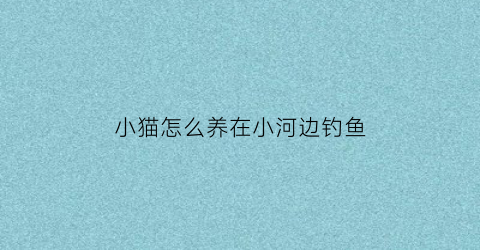 “小猫怎么养在小河边钓鱼(小猫钓鱼怎么样在河边钓鱼)