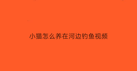 小猫怎么养在河边钓鱼视频(小猫怎么养在河边钓鱼视频教学)
