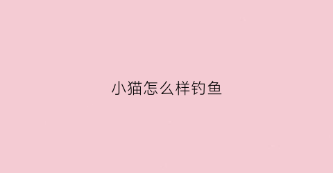 小猫怎么样钓鱼