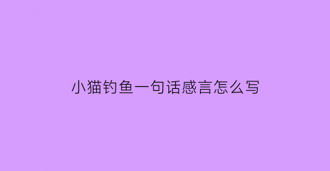 小猫钓鱼一句话感言怎么写