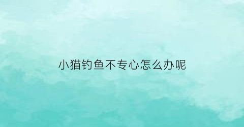 小猫钓鱼不专心怎么办呢(小猫钓鱼不专心怎么办呢视频)