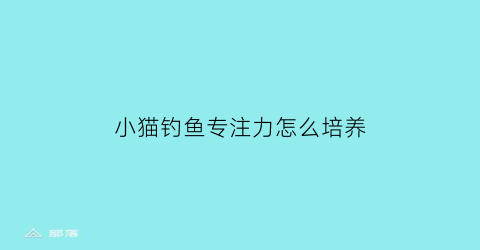 “小猫钓鱼专注力怎么培养(小猫钓鱼很专心)