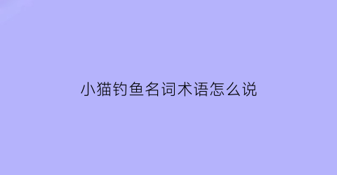 “小猫钓鱼名词术语怎么说(小猫钓鱼名词术语怎么说英文)