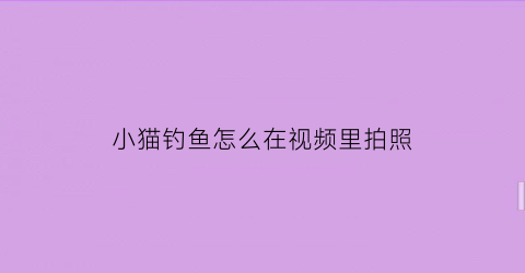 “小猫钓鱼怎么在视频里拍照(小猫钓鱼视频下载)