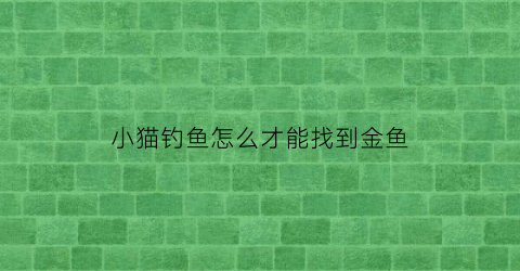 “小猫钓鱼怎么才能找到金鱼(小猫钓鱼怎么钓鱼)