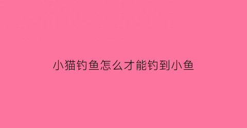 小猫钓鱼怎么才能钓到小鱼(小猫钓鱼什么招式)