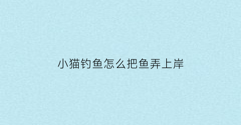 小猫钓鱼怎么把鱼弄上岸(小猫钓鱼怎么操作)