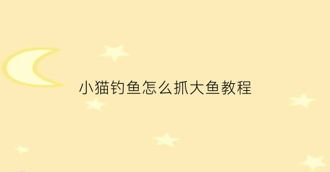 “小猫钓鱼怎么抓大鱼教程(小猫钓鱼怎么抓大鱼教程视频)