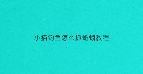 “小猫钓鱼怎么抓蚯蚓教程(小猫钓鱼怎么玩视频)