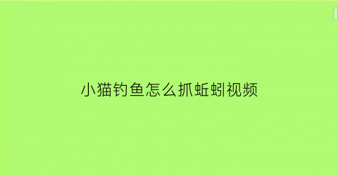 “小猫钓鱼怎么抓蚯蚓视频(小猫钓鱼怎么抓蚯蚓视频教程)