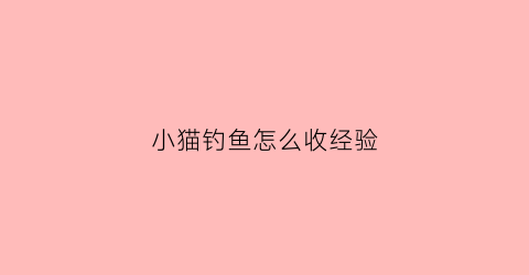 小猫钓鱼怎么收经验(小猫钓鱼如何)