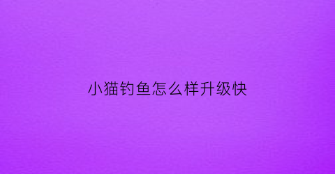 小猫钓鱼怎么样升级快(小猫钓鱼怎么刷新鱼)