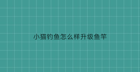 “小猫钓鱼怎么样升级鱼竿(小猫钓鱼几级才能解锁船)