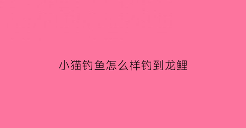 小猫钓鱼怎么样钓到龙鲤(小猫钓鱼怎么样算赢)