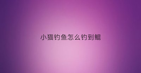 小猫钓鱼怎么钓到鲲(钓鱼的猫如何钓上大鱼)