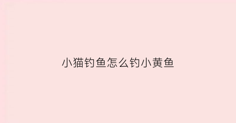 小猫钓鱼怎么钓小黄鱼(小猫钓鱼教程)
