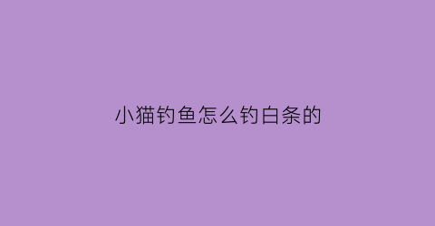 小猫钓鱼怎么钓白条的(小猫钓鱼怎么钓白条的图片)