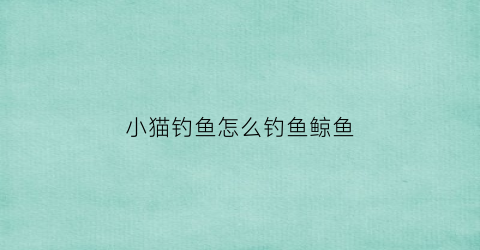小猫钓鱼怎么钓鱼鲸鱼(小猫钓鱼怎么钓鱼鲸鱼的)