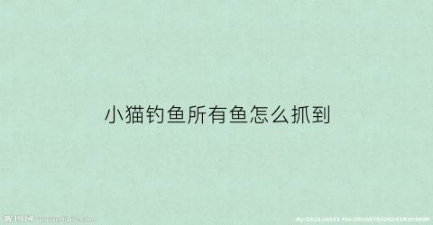 小猫钓鱼所有鱼怎么抓到(小猫钓鱼怎么玩的来着)