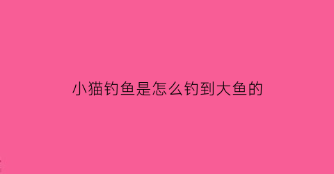 小猫钓鱼是怎么钓到大鱼的(小猫钓鱼怎么玩儿)