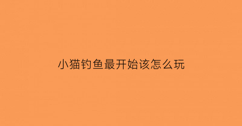 小猫钓鱼最开始该怎么玩(小猫钓鱼怎么玩儿)
