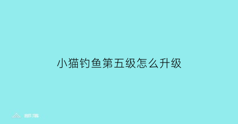 小猫钓鱼第五级怎么升级(小猫钓鱼第五级怎么升级鱼竿)