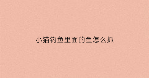小猫钓鱼里面的鱼怎么抓(小猫钓鱼里面的鱼怎么抓住)