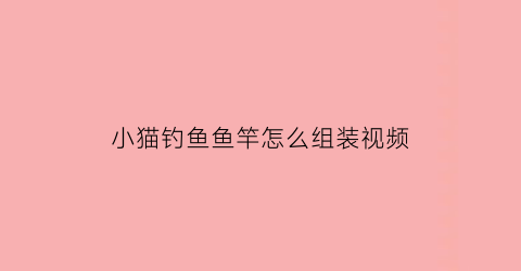 “小猫钓鱼鱼竿怎么组装视频(小猫钓鱼鱼竿怎么组装视频教学)