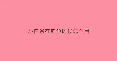 “小白条在钓鱼时候怎么用(小白条钓法)