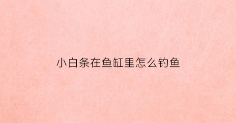 小白条在鱼缸里怎么钓鱼(小白条如何钓)