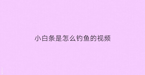 小白条是怎么钓鱼的视频(怎么钓小白条小鱼)
