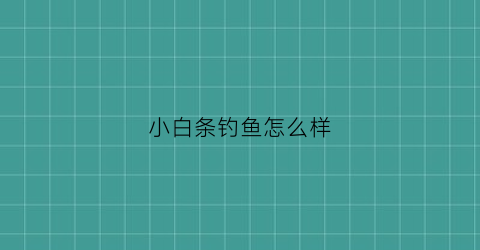 小白条钓鱼怎么样(小白条好钓吗)