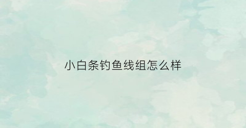小白条钓鱼线组怎么样
