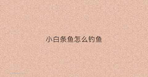 小白条鱼怎么钓鱼(如何钓小白条鱼)