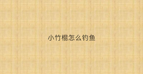 小竹棍怎么钓鱼(小竹棍怎么钓鱼效果好)