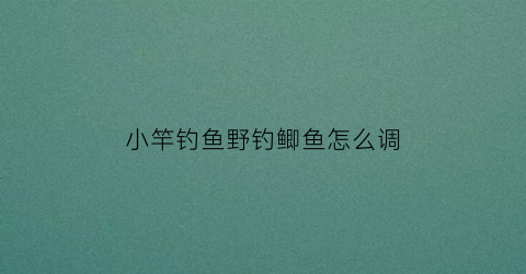小竿钓鱼野钓鲫鱼怎么调(钓小鲫鱼鱼竿推荐)