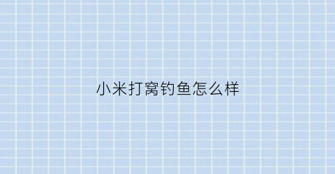 小米打窝钓鱼怎么样